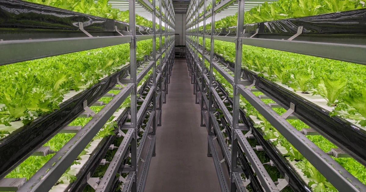 植物工場の通路 — 棚間を歩く管理者